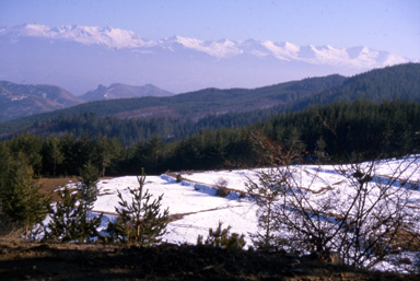 Scenery from the western Rodops of Bulgaria